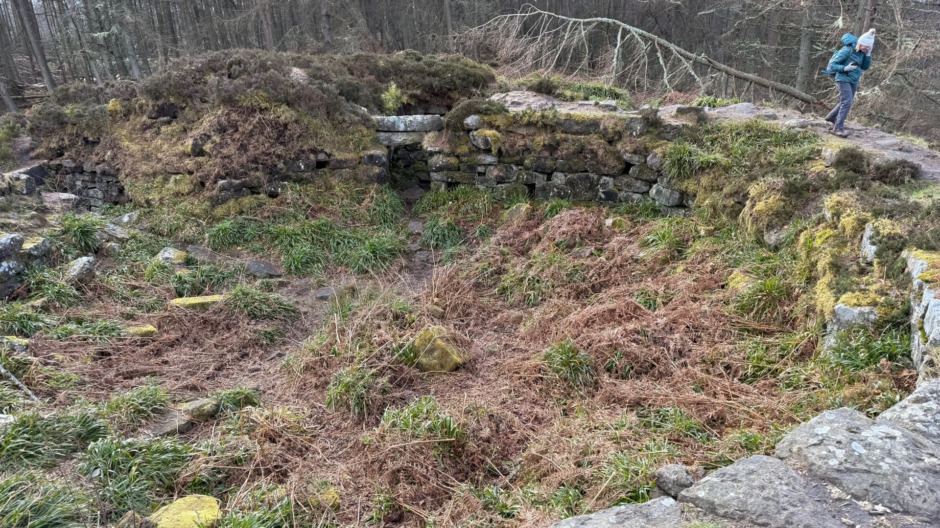 Broch